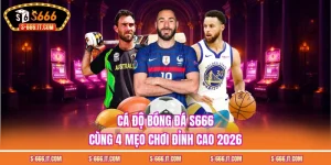 cá độ bóng đá